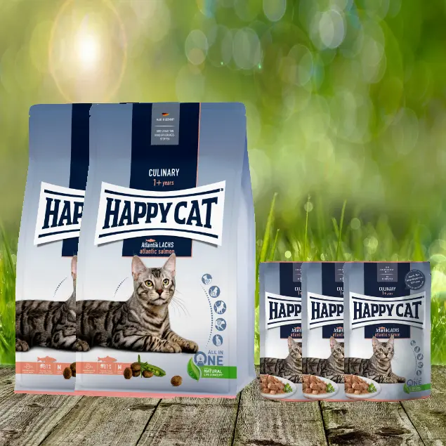 Futter des Monats - Happy Cat Culinary Adult Atlantik Lachs 2 x 10 kg + 3 Pouches geschenkt