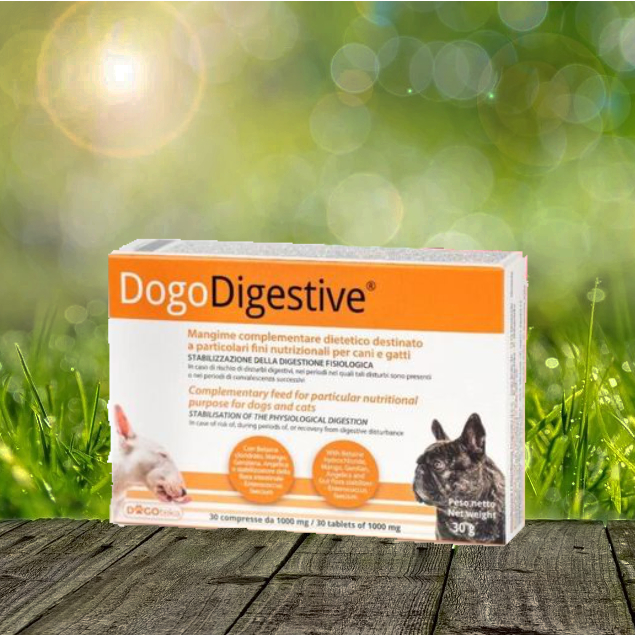 Dogoteka DogoDigestive 30 Stück