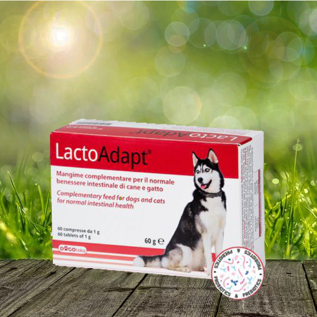 Dogoteka New LactoAdapt 15 Stück