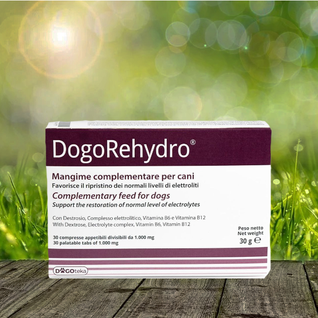 Dogoteka DogoRehydro Elektrolyt-Tabs - 30 Stück